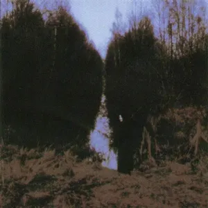 My arms, your hearse